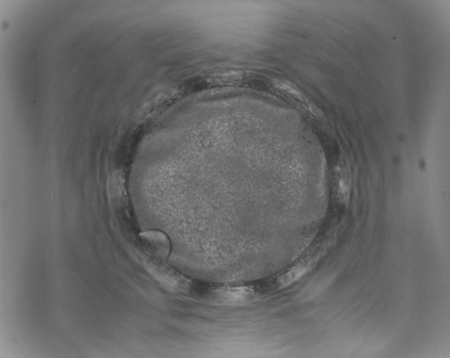 X0000072550711200608041648