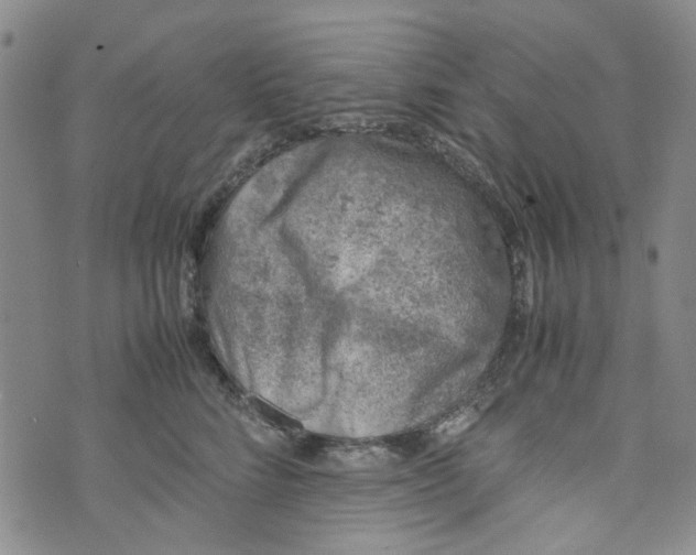 X0000072550712200608041648