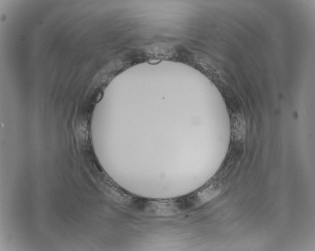 X0000072550713200608041648