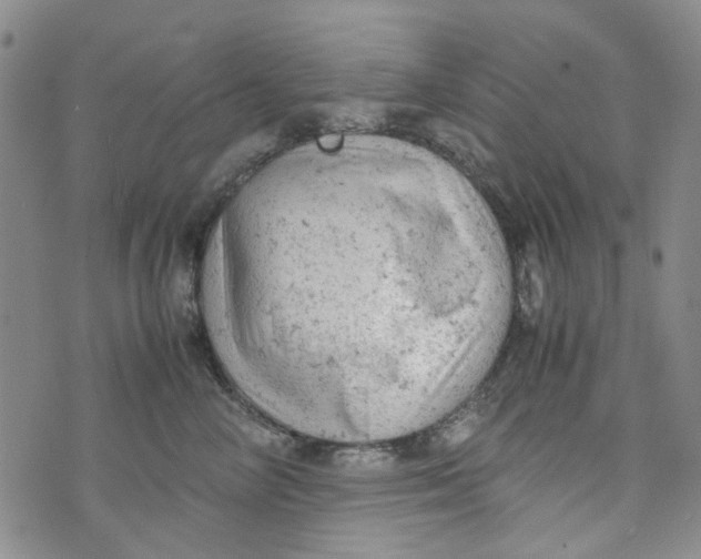 X0000072550714200608041648