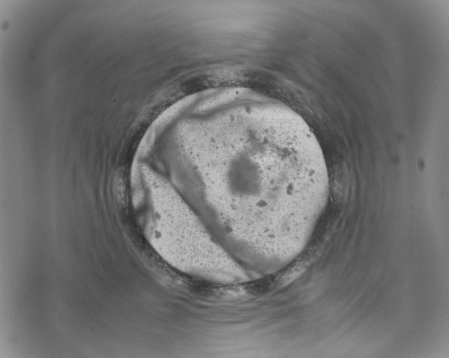 X0000072550715200608041648