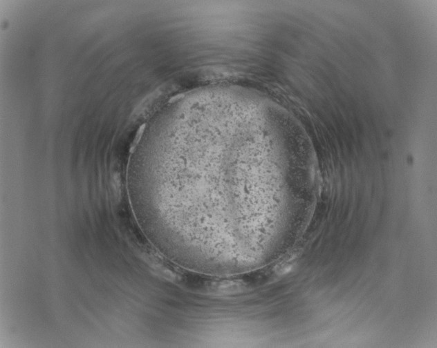 X0000072550716200608041648