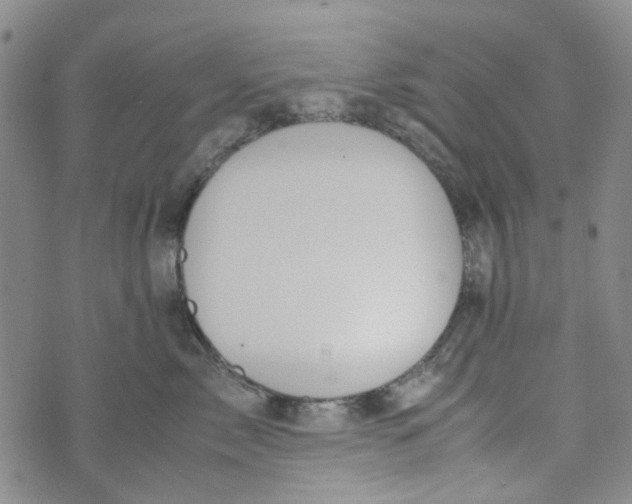 X0000072550717200608041648