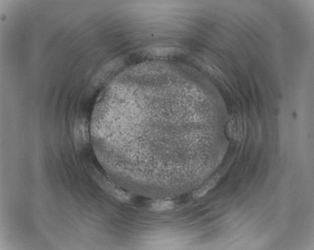 X0000072550718200608041648