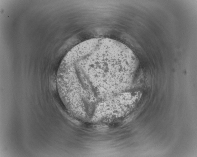 X0000072550719200608041648