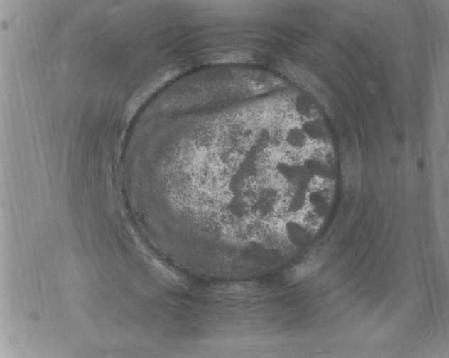 X0000072550721200608041647