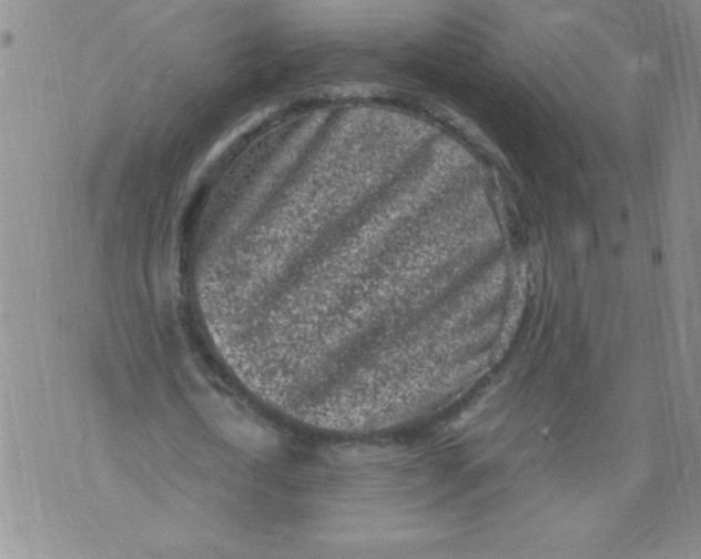 X0000072550722200608041647