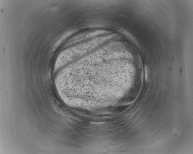 X0000072550723200608041647