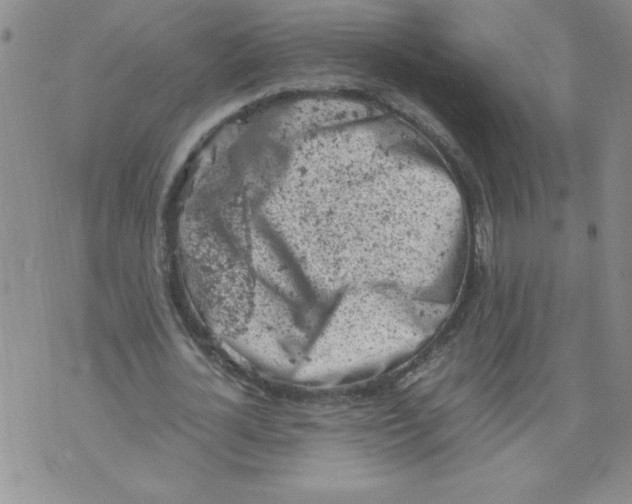 X0000072550724200608041647