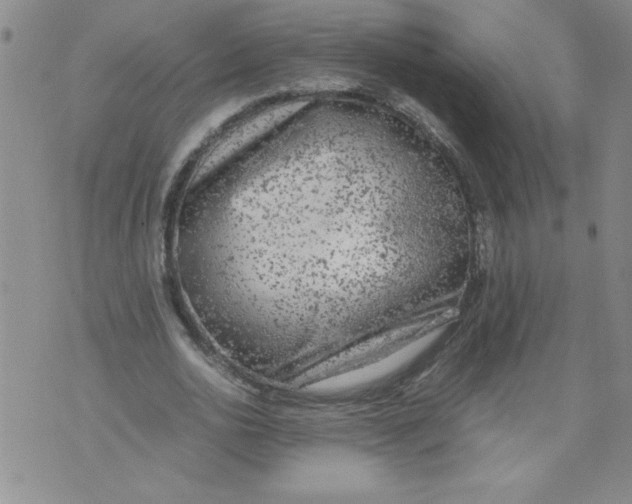 X0000072550726200608041647