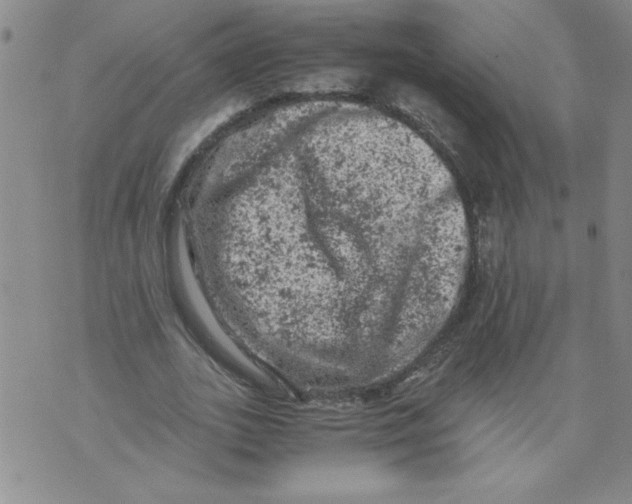 X0000072550727200608041647