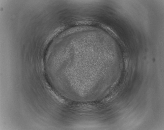 X0000072550729200608041647