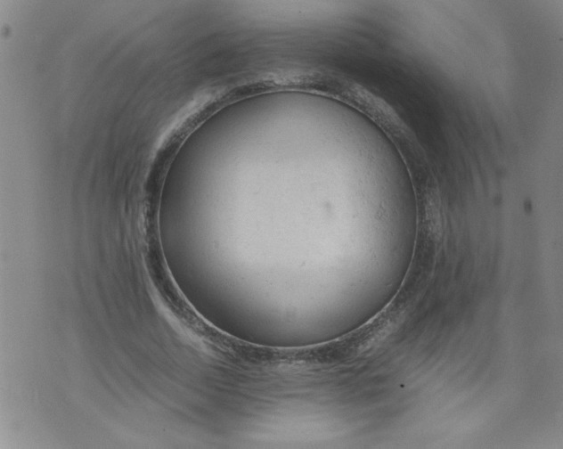 X0000072550730200608041647