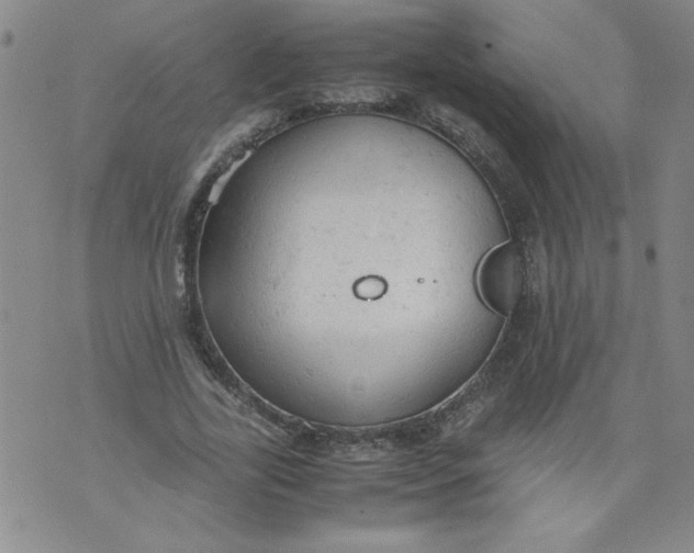 X0000072550731200608041647