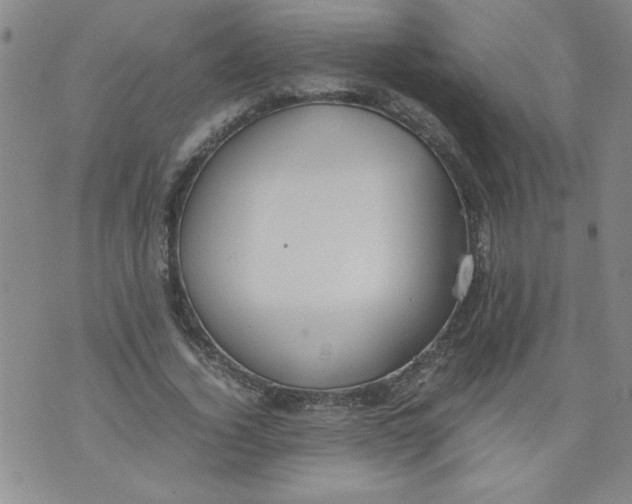 X0000072550732200608041647