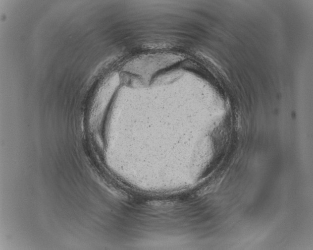 X0000072550733200608041647