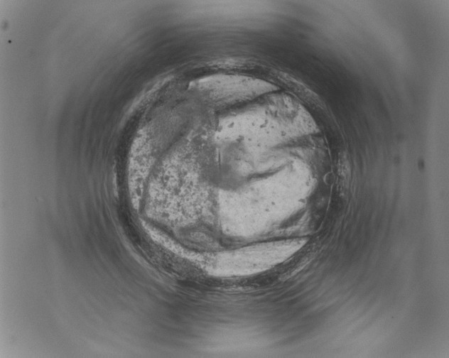 X0000072550734200608041647