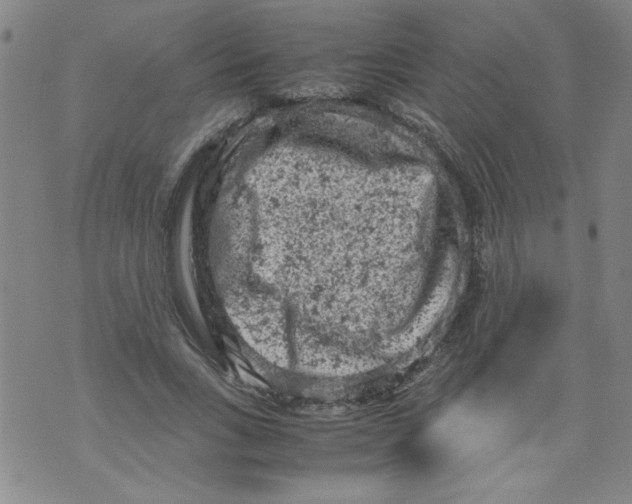 X0000072550735200608041647