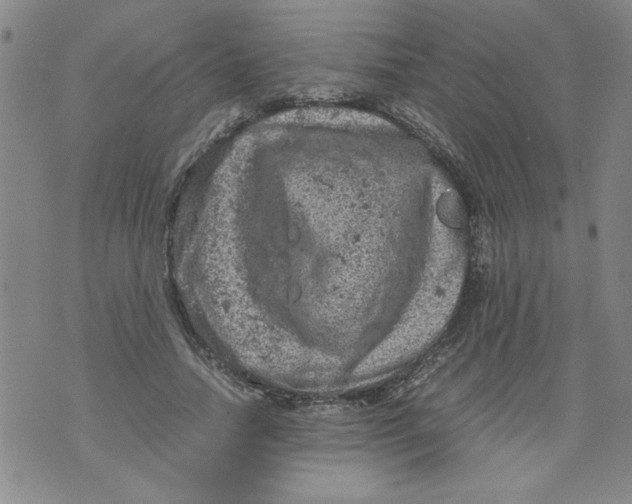 X0000072550738200608041647