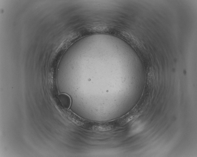 X0000072550739200608041647