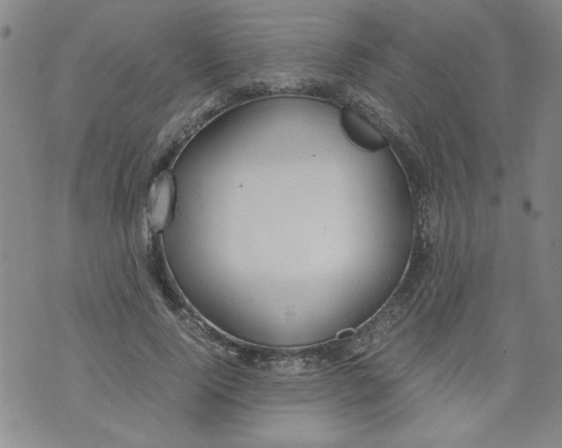 X0000072550740200608041647