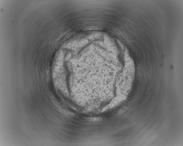 X0000072550741200608041647