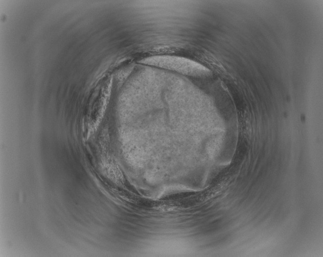 X0000072550742200608041647