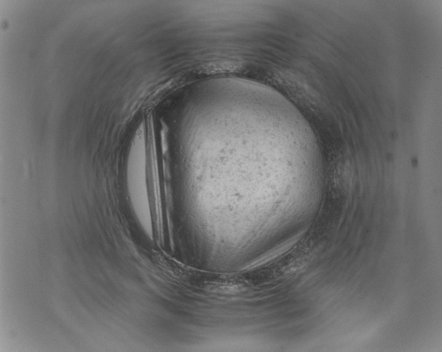 X0000072550743200608041647