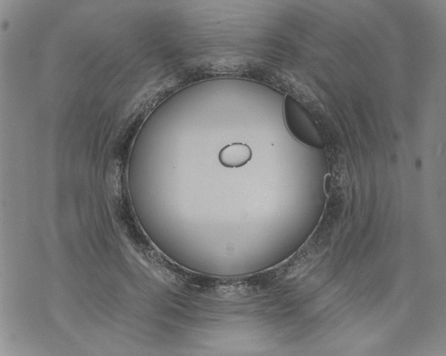 X0000072550744200608041647