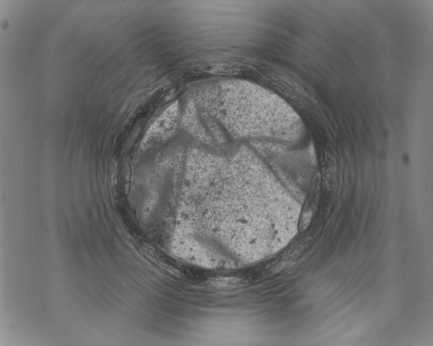 X0000072550748200608041647