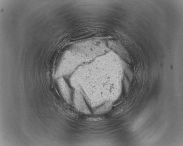 X0000072550749200608041647