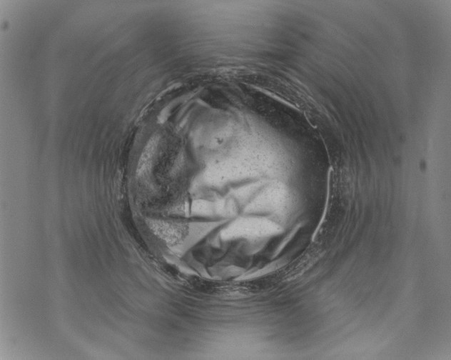 X0000072550750200608041647