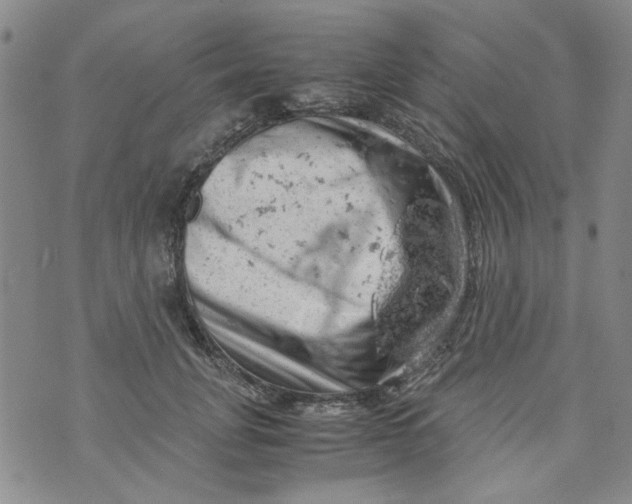 X0000072550751200608041647