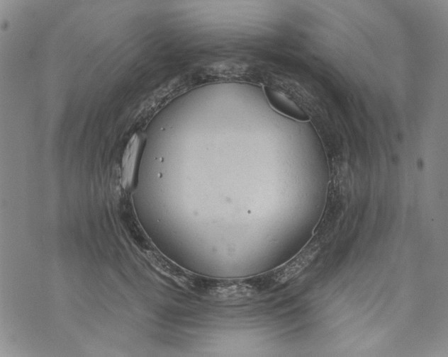 X0000072550752200608041647