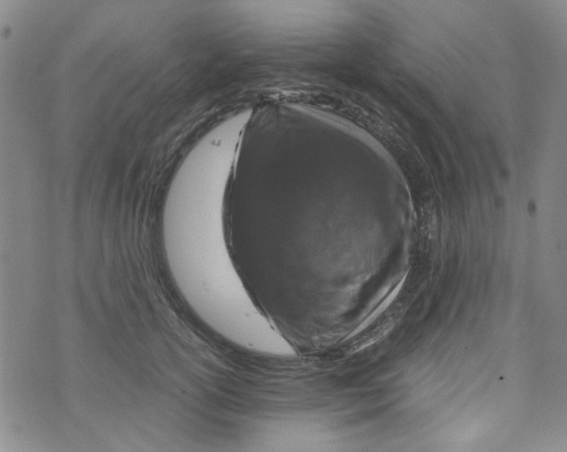 X0000072550754200608041648