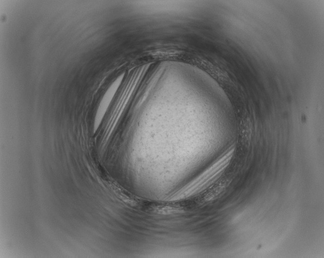 X0000072550755200608041648