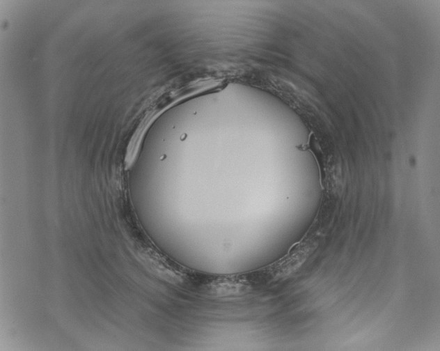 X0000072550756200608041648