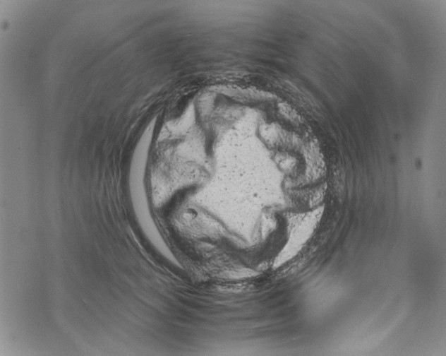 X0000072550757200608041648