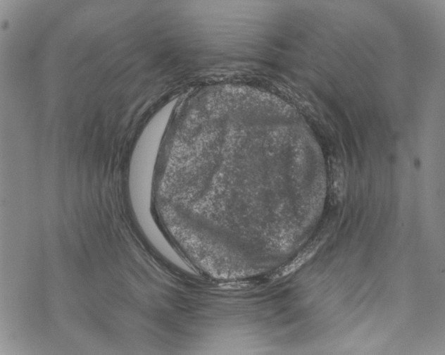 X0000072550758200608041648