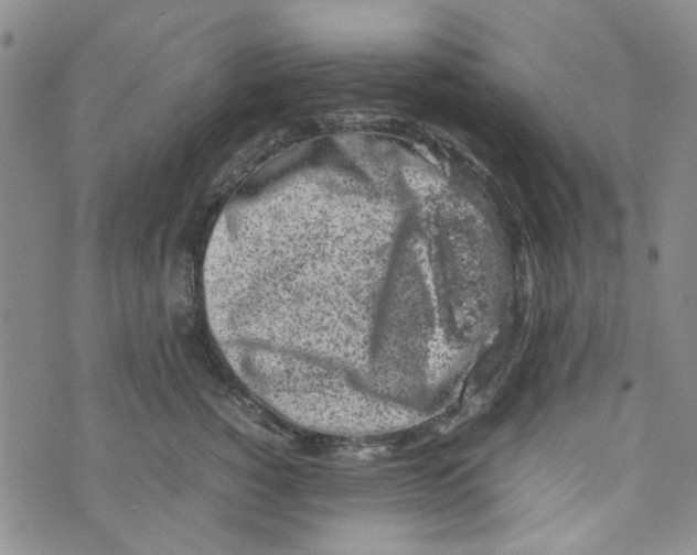 X0000072550760200608041648