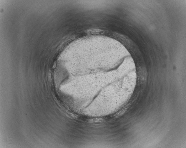 X0000072550761200608041648