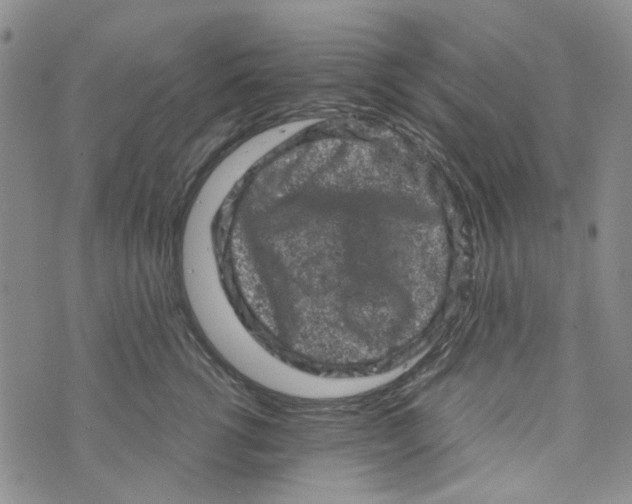 X0000072550762200608041648