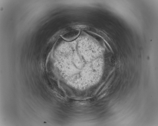 X0000072550763200608041648