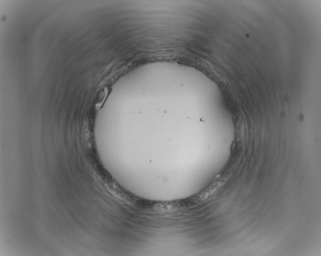 X0000072550764200608041648