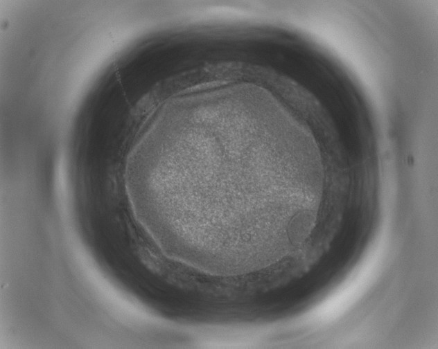 X0000072550765200608041648