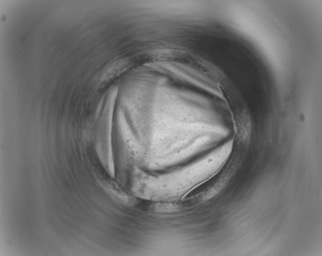 X0000072550766200608041648