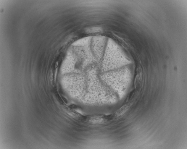 X0000072550767200608041648