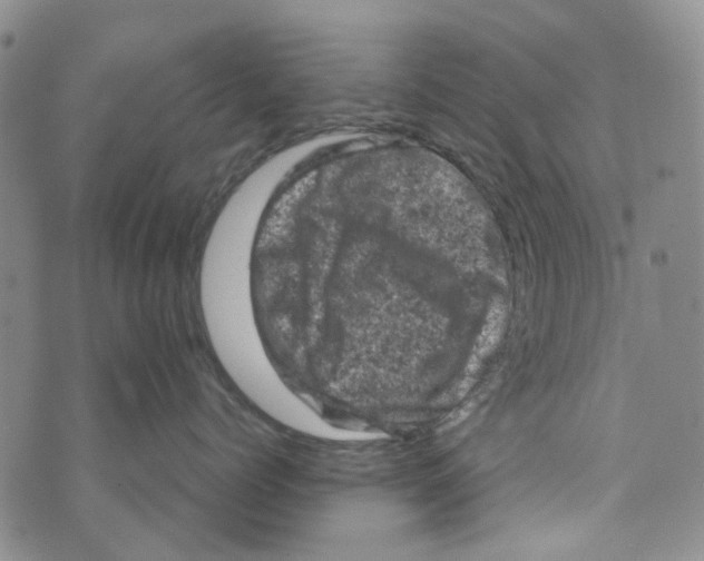 X0000072550768200608041648