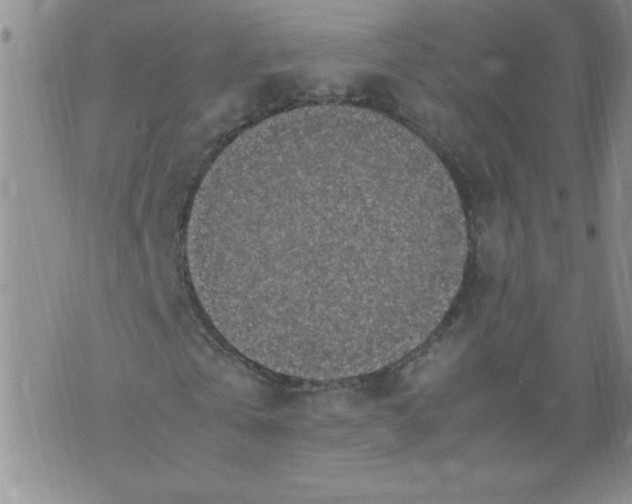 X0000072550769200608041647