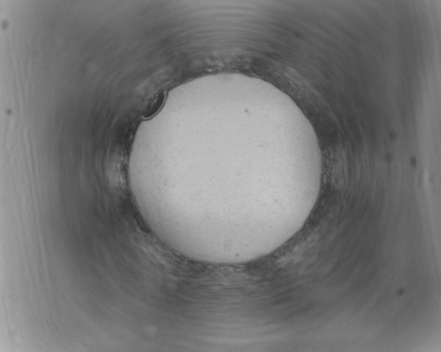 X0000072550770200608041647